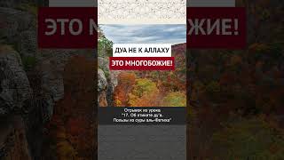 Дуа не к Аллаху – это многобожие! || Ринат абу Ибрахим #ислам #коран #вера #бог #намаз #сунна #пост