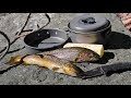 Catch and Cook and Camp Ep. 3 * Solo 2 Night 3 Days in the Wild * No Tent
