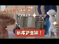 『waowaocamp』ナフコのキャリーワゴン小物入れ付　開封動画