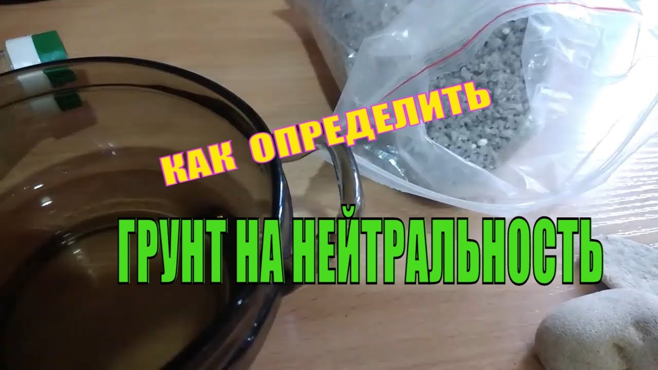 Потрескался грунт на авто Потрескался грунт на авто