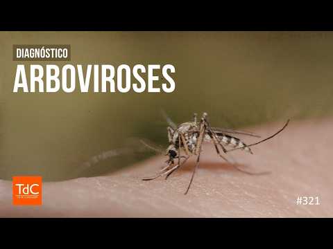 Thumbnail - Episódio 321 - Diagnóstico de Arboviroses