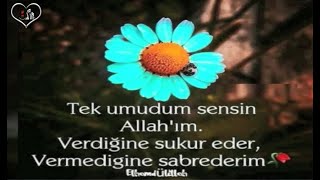 ZİKREDEN DİL🌹 ŞÜKREDEN KALP 🌹SABREDEN BEDEN🌹ETKİLEYİCİ🌹ANLAMLI🌹RESİMLİ GÜZEL SÖZLER🌹