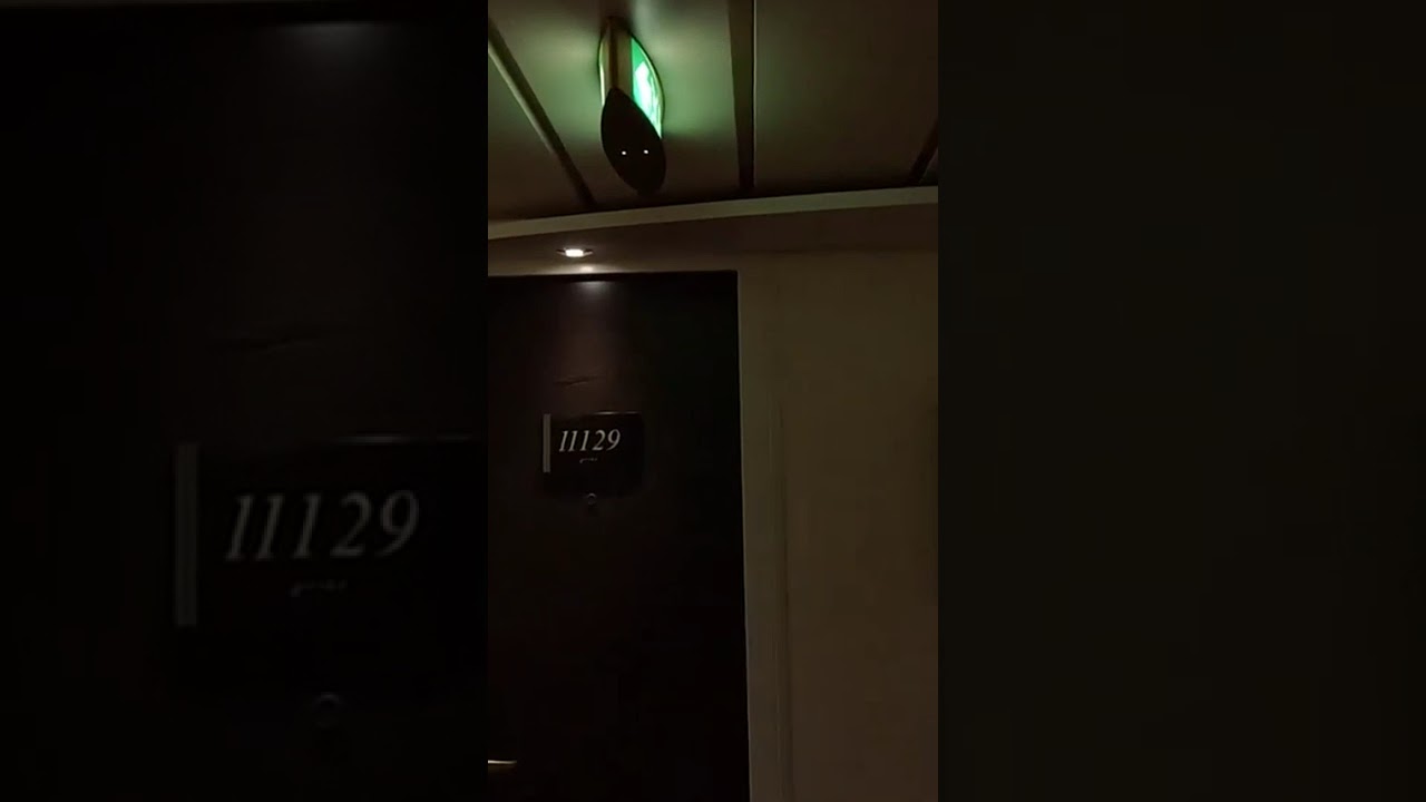 🍽️ El BUFFET del MSC Divina es una LOCURA 🤯