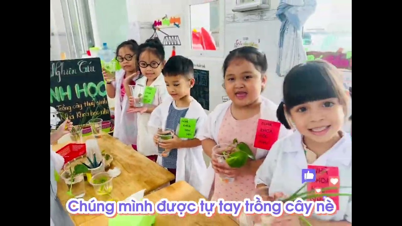 Trồng cây thuỷ sinh