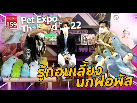 Pet Expo Thailand 2022 รู้ก่อนเลี้ยงนกฟอพัส - เพื่อนรักสัตว์เอ้ย EP.159