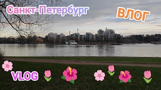 САНКТ-ПЕТЕРБУРГ ПРОГУЛКА КРЕСТОВСКИЙ ОСТРОВ И ЕЛАГИН ОСТРОВ ВСТРЕТИЛИ БЕЛКУ В ПАРКЕ ПИТЕР