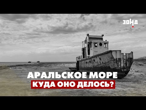 Почему Аральское море превратилось в пустыню? Последствия экологической катастрофы.