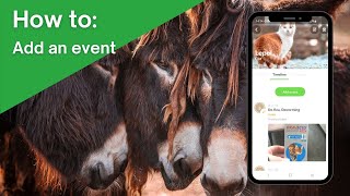 The Anymal App How To Add An Event