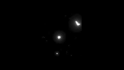 [mge] STATUS 11 TEAM FORTTES 2#tf2 #tf2edit #tf2memes #mge