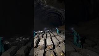 Pharaohs Lost World#shortvideo