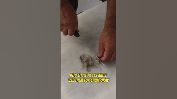 How to use Cut Squid for Bait! #fishing #shorts