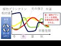 湖の表層における植物プランクトン等の季節変動　高校生物