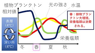 湖の表層における植物プランクトン等の季節変動　高校生物