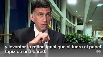 O que fazer para acabar com as moscas volantes?