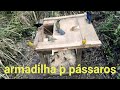 armadilha automática pra pássaros