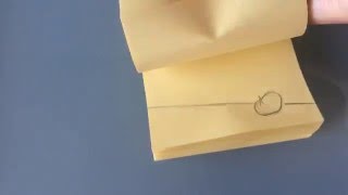 Ball and Pin-Flip Book Test