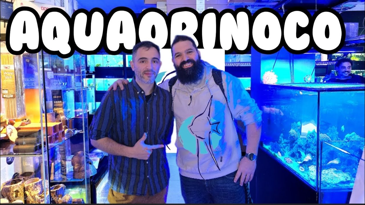ENTREI NA LOJA AQUAORINOCO 😱 A loja de aquários MAIS INCRÍVEL que já vi! 🔥🔥
