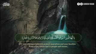 surah At Tahrim | Sherif Mostafa | with English translation