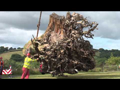 Angela Palmer Ghost Forest arrives at the National...