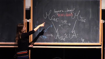 Laura P. Schaposnik 4.1, Advanced topics in (mathematical) gauge theory / Higgs bundles (IAS | PCMI)