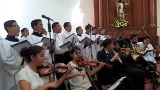 Video thumbnail of "Señor ten piedad. Mejía."