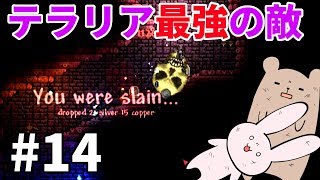 【Terraria】もうちょっと前触れってもんがあるだろ #14【ゆっくり実況】