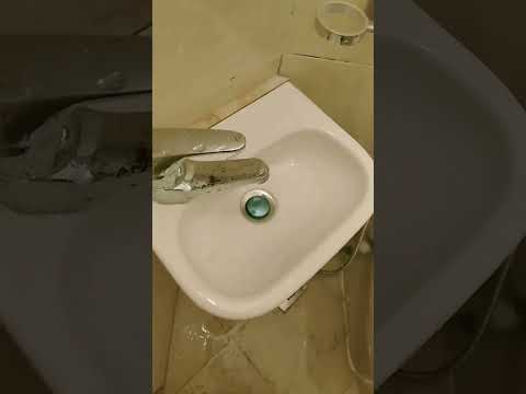 أصغر حوض في العالم