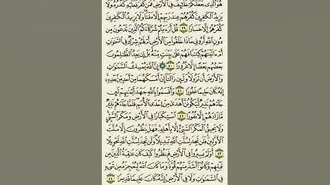 سورة  فاطر من الآية ٣٩ إلى الآية ٤٤بصوت القارئ ماهر المعيقلي
