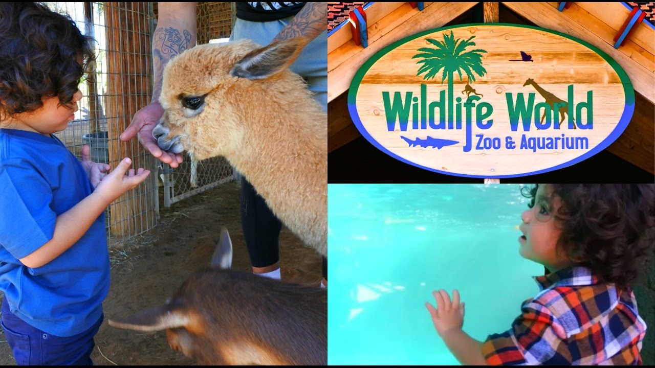 PHOENIX WILDLIFE ZOO 2016 - YouTube