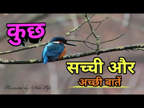 सच्ची और अच्छी बातें || Very True Emotional Lines Hindi, Heart Touching Life Quotes,Anmol Vachan