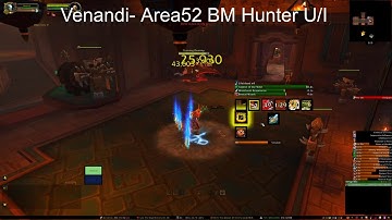 WoW  BFA (8.3) BM Hunter UI