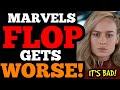 The Marvels FLOP GETS WORSE as Marvel GETS DESPERATE! MORE THAN HALF their audience IS GONE!