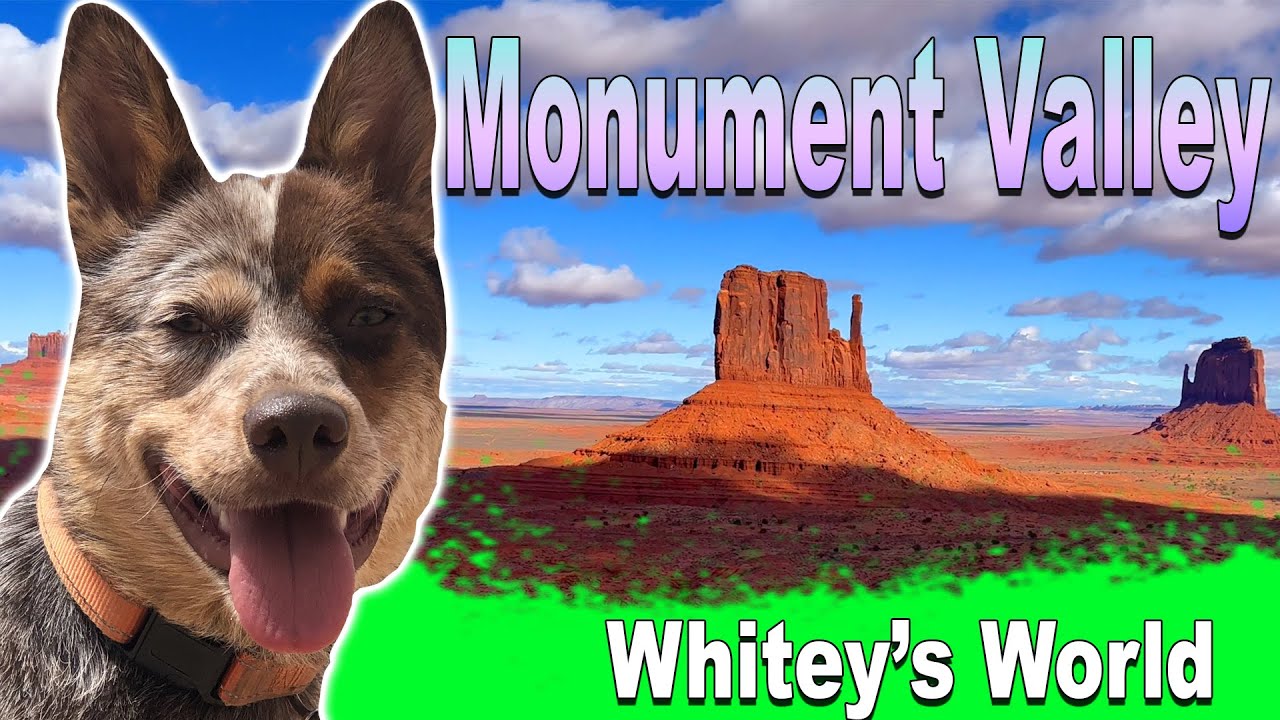 Monument Valley  | Things to do near Page Arizona | Whitey's World