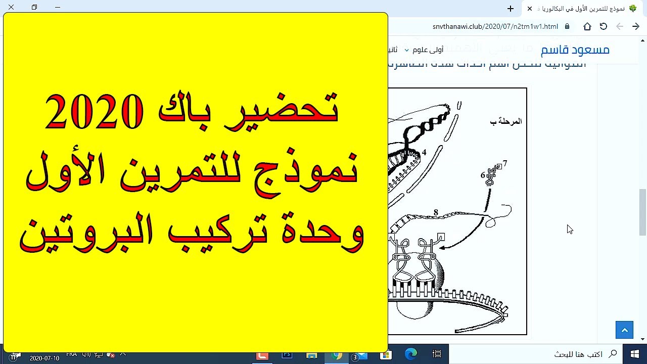 تمارين نموذجية باك 2020 (وحدة تركيب البروتين - التمرين الأول)