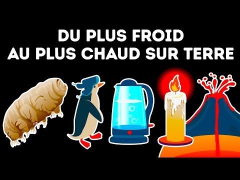 Vidéo: Une Veste En Graphène Vous évitera à La Fois La Chaleur Et Le Froid - Vue Alternative