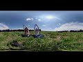 Cow Yoga (360 VR experience)