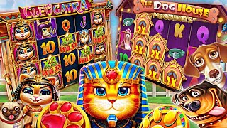 БИТВА БОНУСОВ CLEOCATRA VS DOG HOUSE / ПОЙМАЛ 5 И 4 ЛАПЫ BIG WIN / UP-X / ЗАНОСЫ НЕДЕЛИ