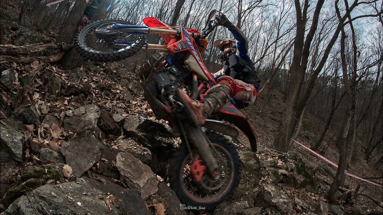 2026 막시무스 배틀 팀전 중후반 : 2부(4K)