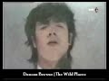 Duncan Browne | The Wild Places
