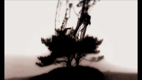 Delta Funktionen - Nebula [ann006]