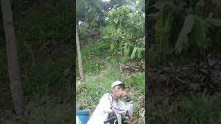 #shorts #viral tukang sayur keliling