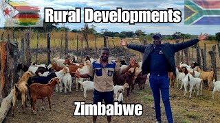 From Chef To Farmer A Culinary Journey To Goat, Rabbit, And Poultry Farming In Rural Zimbabwe
