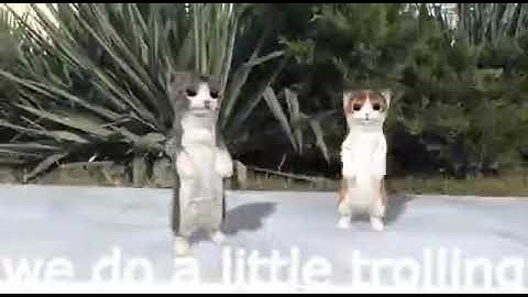 we do a little trolling