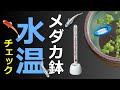 【メダカ屋外飼育】春夏秋冬、気になる水温！浮かべるタイプ、自立型タイプの水温計をご紹介。