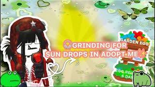 Grinding for sundrops in adopt me