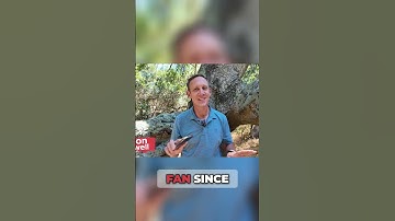 Pixel 10: First Look at Google