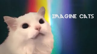 Imagine Cats - Thunder