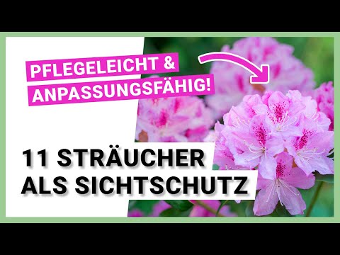 Video: Schattenschutz für Pflanzen - So beschatten Sie Pflanzen im Garten