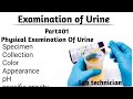 Part1urine examinationphysical examination of urinechemical and microscopic examination of urine