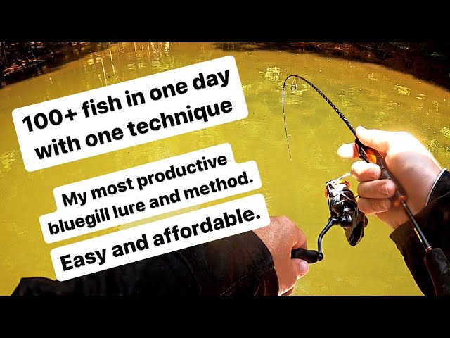 Cabin Kit for Bass Fishing - Northland Fishing Tackle